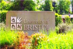 布里斯托大学世界排名