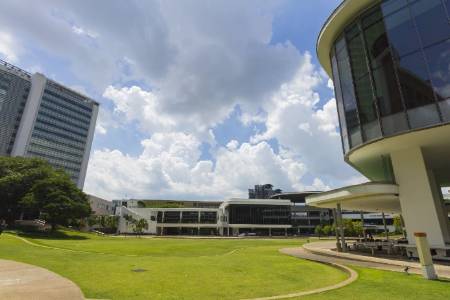 新加坡国立大学艺术与人文世界排名2020年最新排名第35（THE世界排名）
